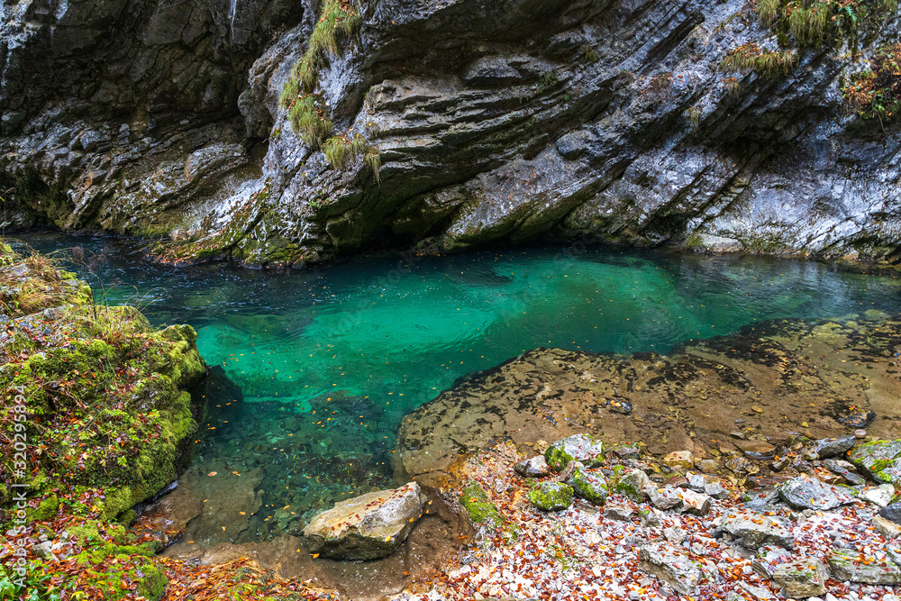 Vintgar gorge in Slovenia with turquoise river water in autumn season