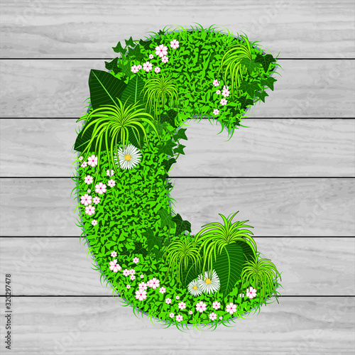 Lettre florale C - illustration vectorielle d’un gazon fleuri sur un fond de planches de bois grises.