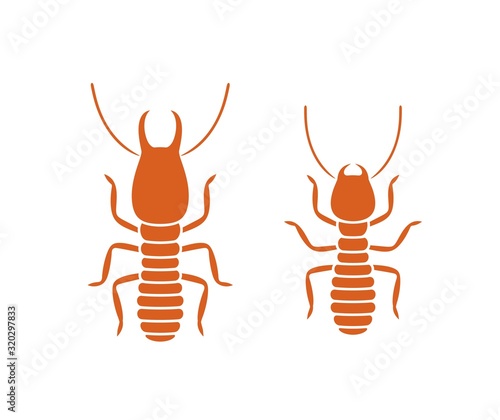 Termite logo. Isolated termite on white background