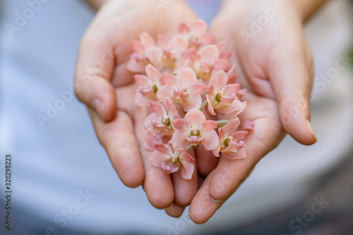 Woman s hands holding orchid in garden.