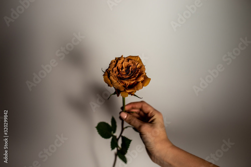 Rose color toffee in a vase. Large beautiful bouquet of flowers photo