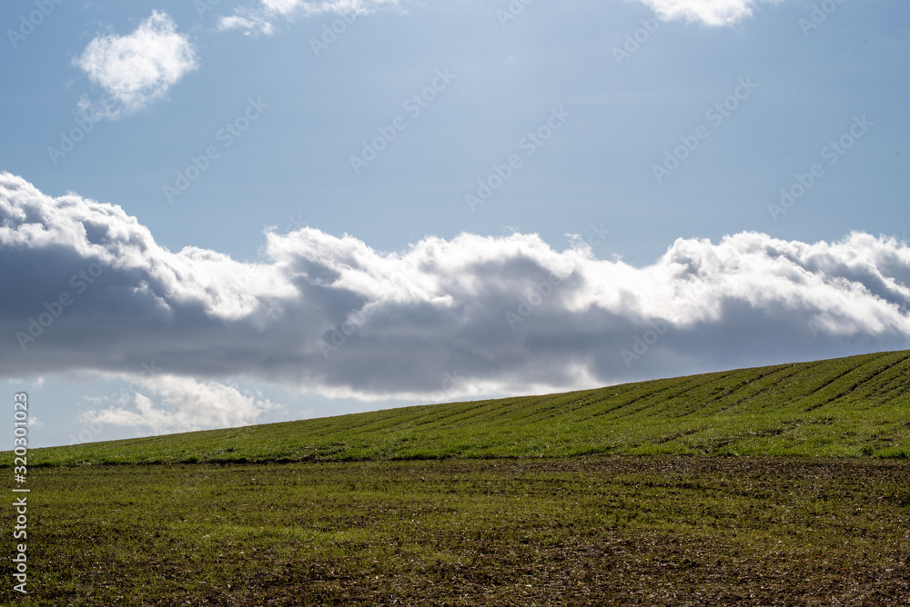 green field and blue sky