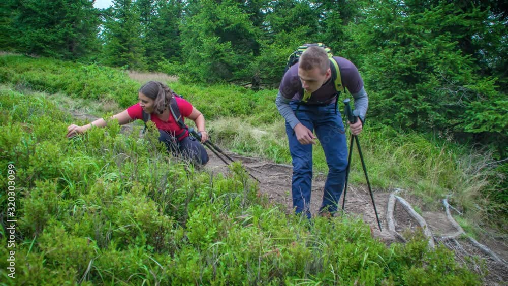 Slow shot around young caucasian couple pausing on hike to pick wild berries. Slow shot around young caucasian couple pausing on hike to pick wild berries.