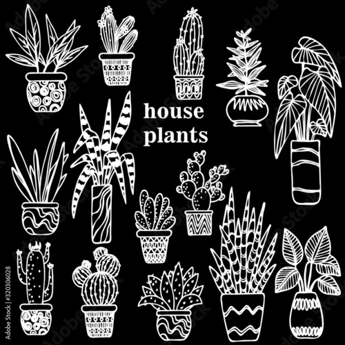 silhouettes of flowerpots in pots, cacti in white on a black background, ornament for clothes