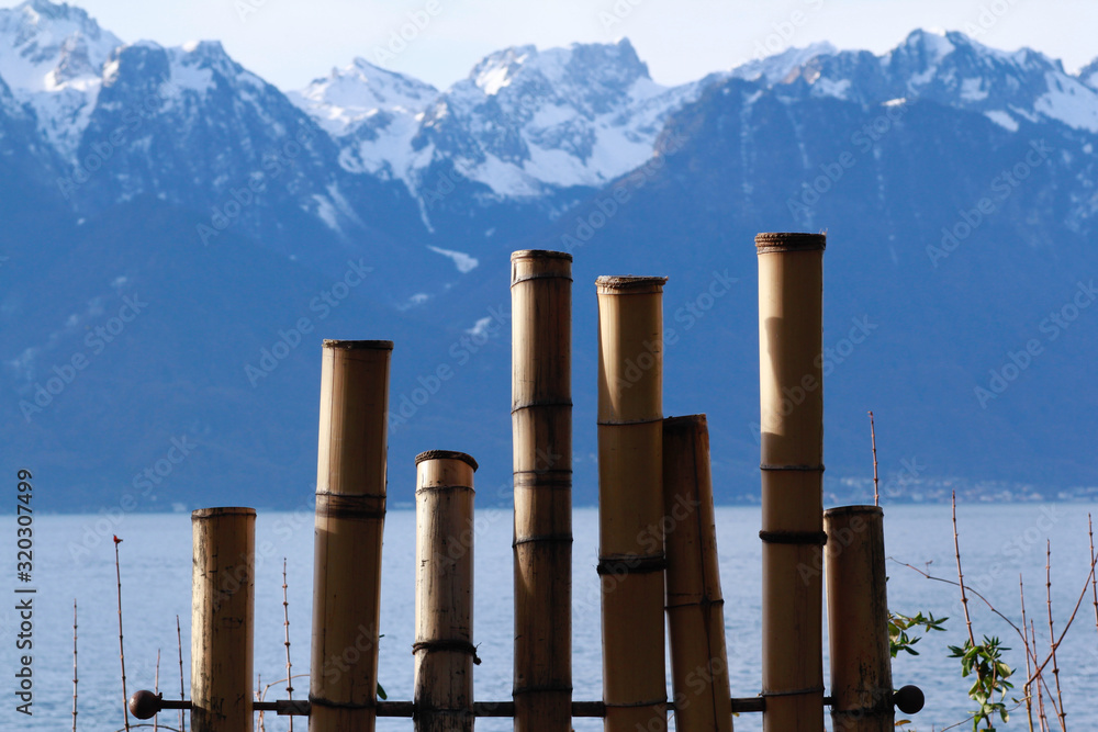 Obraz premium mounters and lake in Montreux