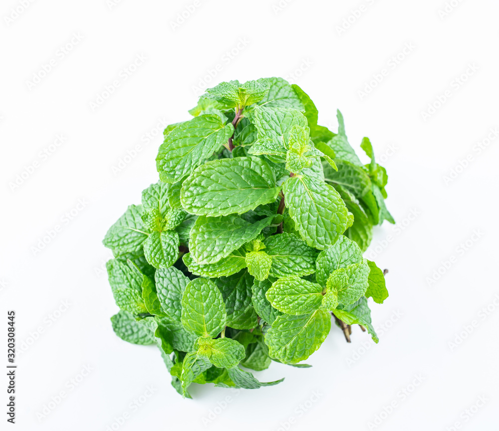 A handful of fresh spice mint leaves on white background A handful of fresh spice mint leaves on white background