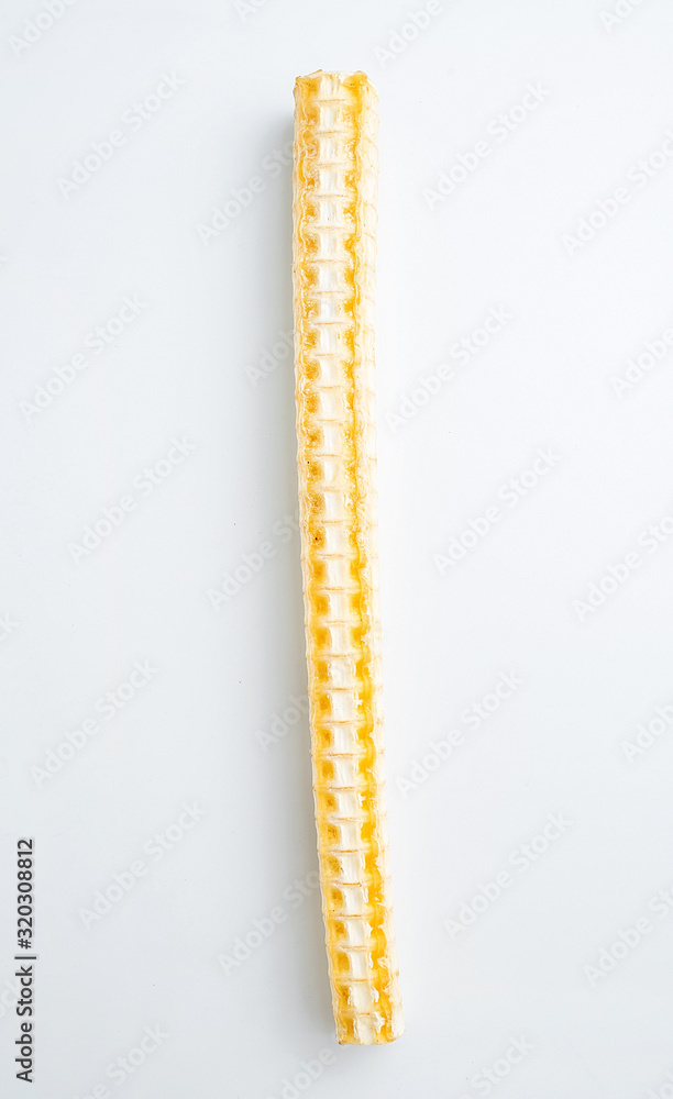 A dried shark bone on white background A dried shark bone on white background