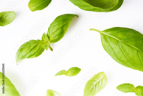 basil leaves isolated on white background