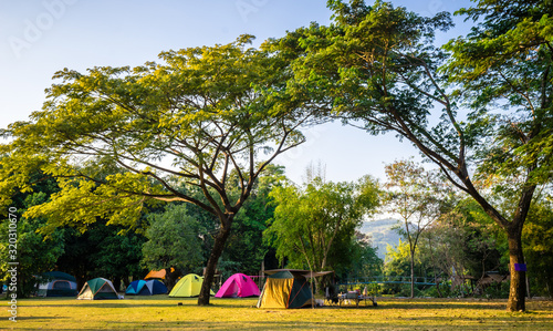 Camping and tent in nature park with green trees