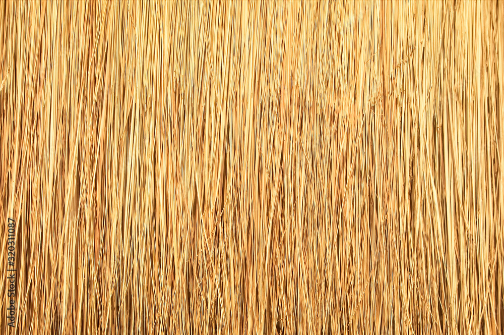 Close up of thatch roof background, Hay or dry grass background, Thatched roof, Grass hay, dry straw, Roof background texture. Close up of thatch roof background, Hay or dry grass background, Thatched roof, Grass hay, dry straw, Roof background texture.