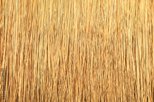 Obraz na plátně Close up of thatch roof background, Hay or dry grass background, Thatched roof, Grass hay, dry straw, Roof background texture