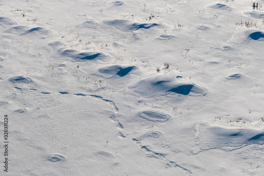 Snow texture footprints in the snow Snow texture footprints in the snow