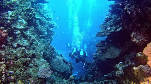 Wallpaper Mural Divers penetrating depths of the coral reef. Torontodigital.ca