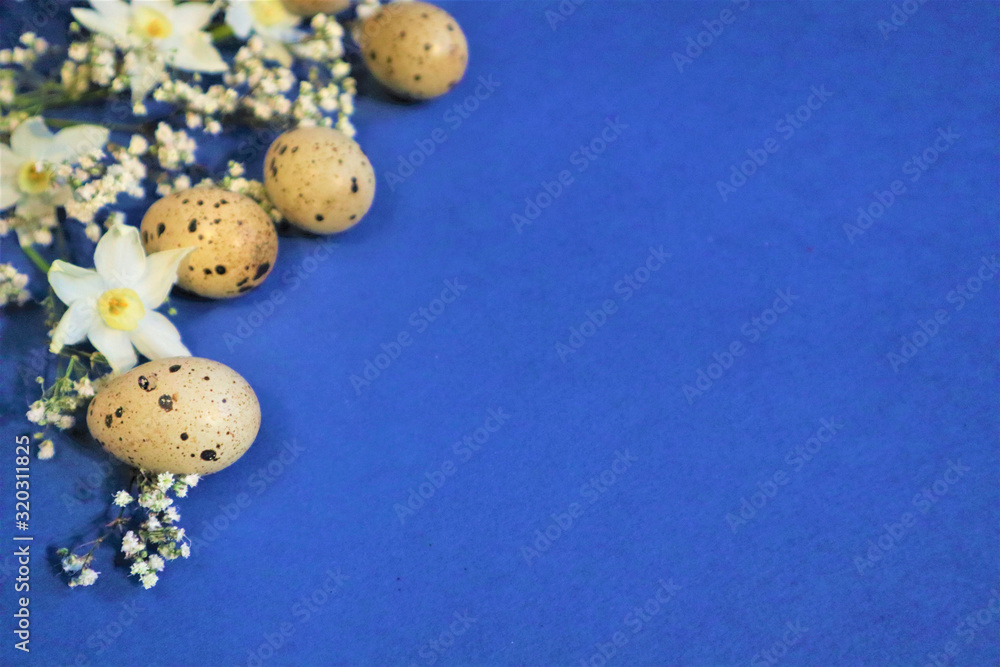 Easter concept. Quail eggs on a blue background. Flowers spring daffodils. Easter concept. Quail eggs on a blue background. Flowers spring daffodils.