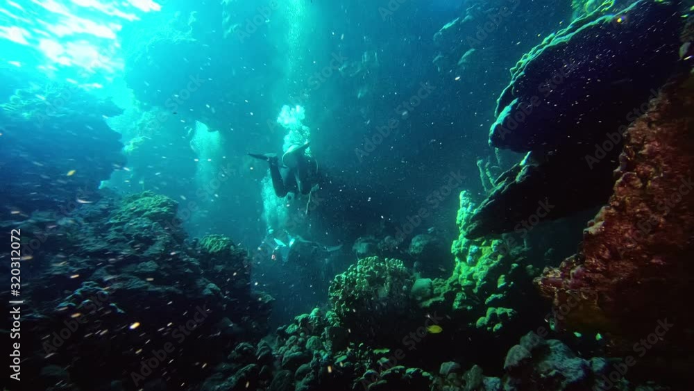 custom made wallpaper toronto digitalLeisure diving in group of divers.