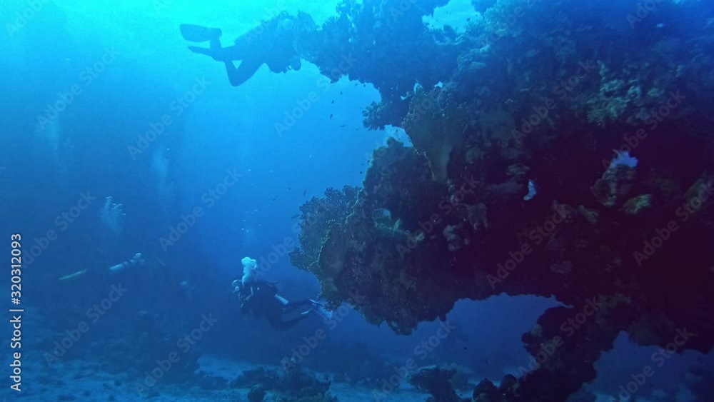 Exploration of the undersea on diving activity. Exploration of the undersea on diving activity.