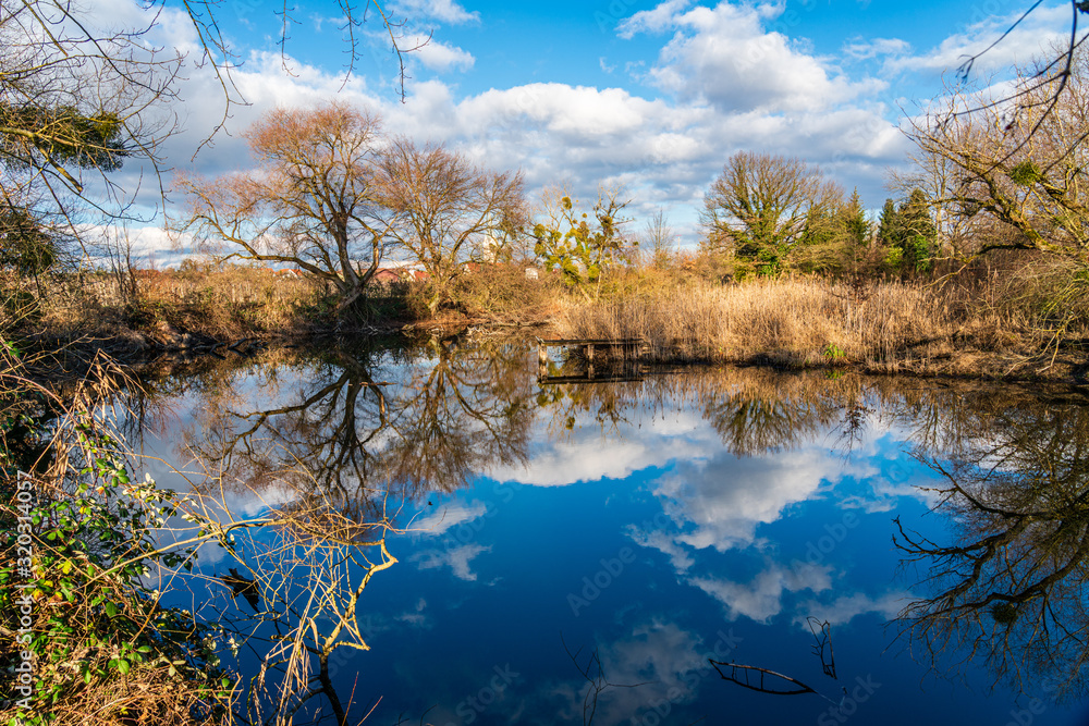strahlend blauer Himmel über dem Naturschutzgebiet Eriskircher Ried am Bodensee strahlend blauer Himmel über dem Naturschutzgebiet Eriskircher Ried am Bodensee