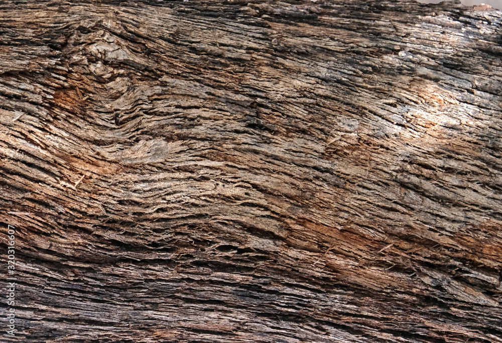 Part of the trunk of an old olive tree with bark covered with a pattern of cracks Part of the trunk of an old olive tree with bark covered with a pattern of cracks