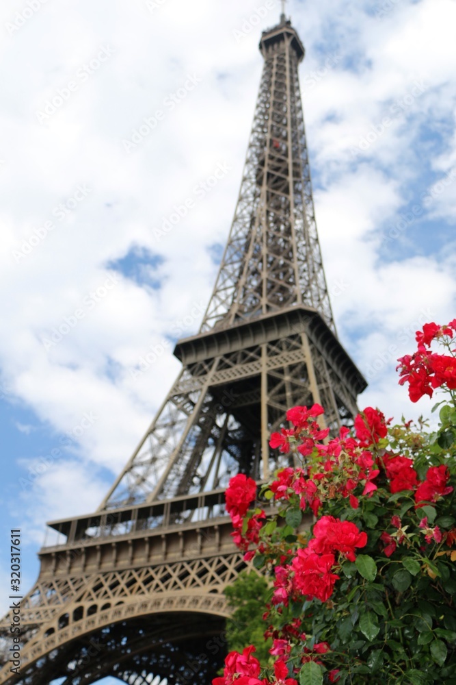 Eiffel Tower Summer Flowers