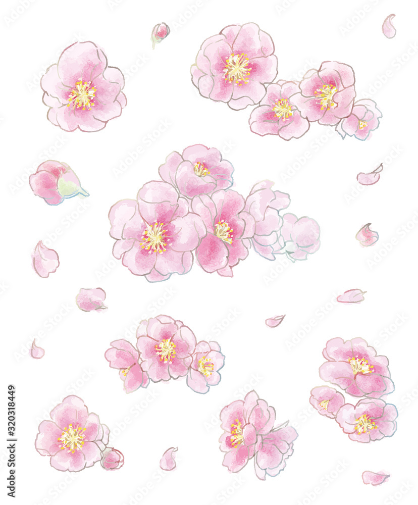 Peach-blossom-vector-illustration-(watercolor-style)