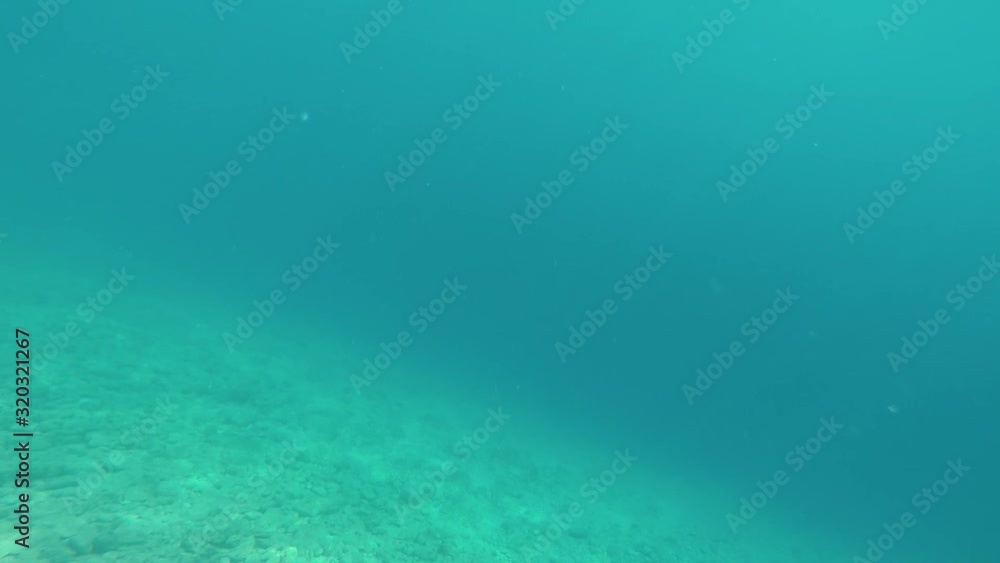 Underwater pristine water rocky bottom Underwater pristine water rocky bottom