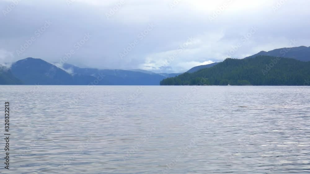 Wonderful tracking shot, close up, of killer whale (orca) pod swimming and breathing around Vancouver Island, Canada. Wonderful tracking shot, close up, of killer whale (orca) pod swimming and breathing around Vancouver Island, Canada.