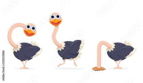 vector cartoon ostrich set isolated on white background