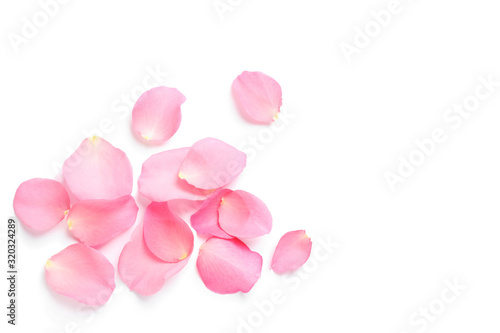 Murais de parede Fresh pink rose petals on white background, top view