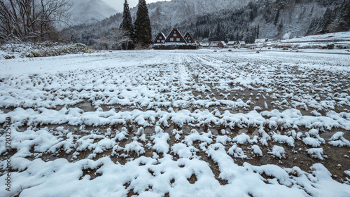 Wallpaper Mural 岐阜県 白川郷 雪景色 三つ子 Torontodigital.ca