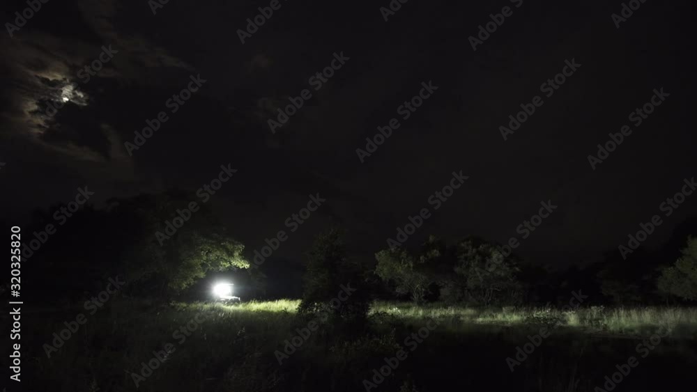 Night safari driver of a Land Cruiser navigates through trees in grasslands of South Africa. Tracking. Extreme long shot. Night safari driver of a Land Cruiser navigates through trees in grasslands of South Africa. Tracking. Extreme long shot.