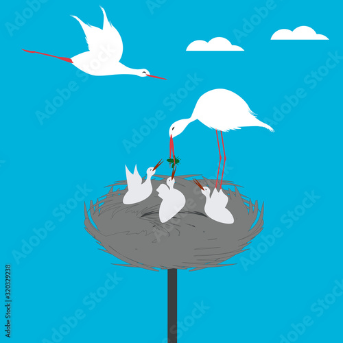 Stork family - bird feeds the chicks in the nest - vector. The world of birds.