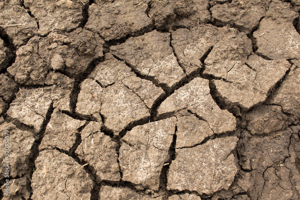 Fototapeta premium Drought-prone land close-up