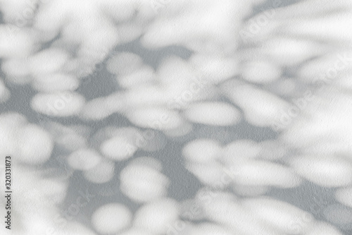 Nature black shadow and light abstract background. Leaf and tree shadows bokeh with sunlight on white concrete wall