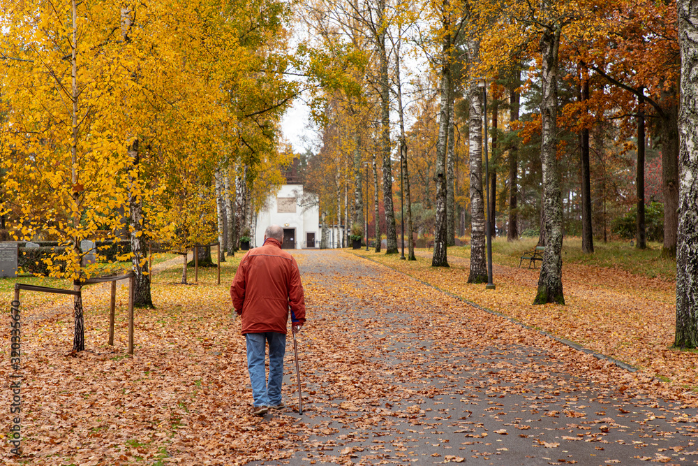 Fototapeta premium A man is walking in the autumn with autumn leaves and trees falling on the path