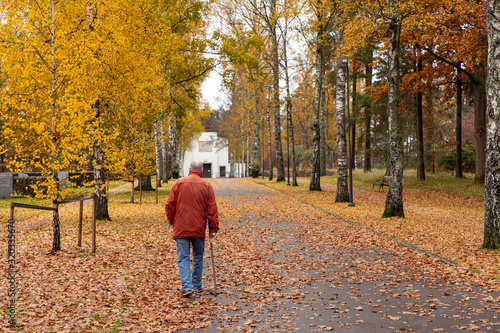 A man is walking in the autumn with autumn leaves and trees falling on the path