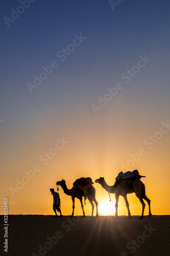 Silhouette of man walking with his camels  Thar desert  Rajasthan  India