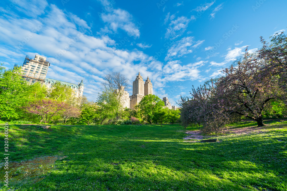 Fototapeta premium Many fresh green trees and plants grow along the footpath beside the Central Park West Buildings in the morning at Central Park New York City NY USA on May. 06 2019. People walk and run on the footpat