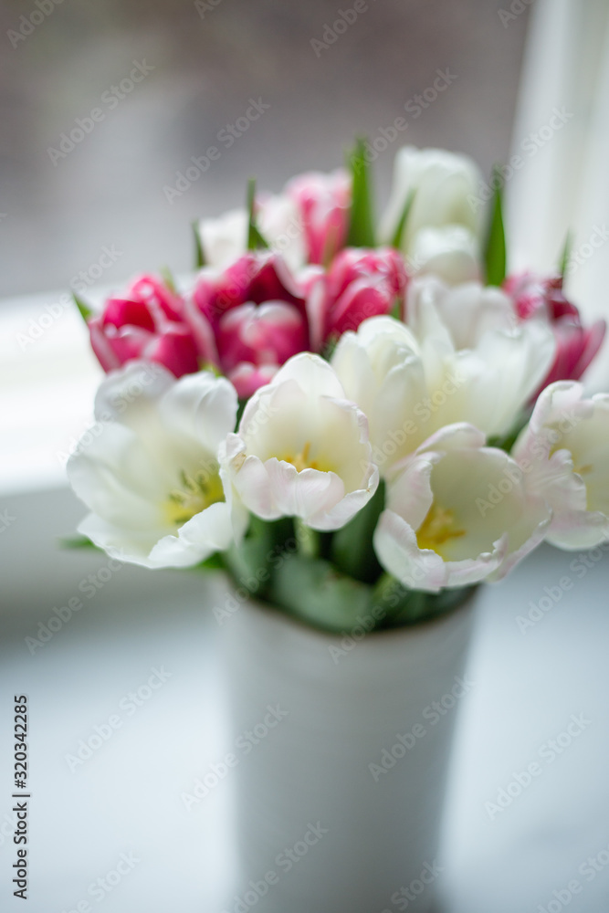 Colorful tulip flowers in front a window