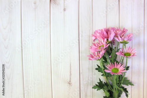 Daisy pink and gray wood background .