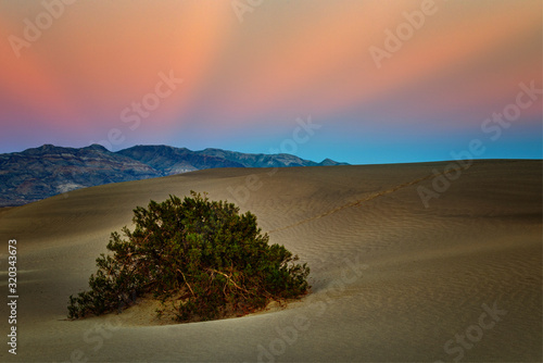 Mesquite Dunes suothwest USA sand