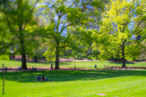 People relax on the lawn and Park benches, which are surrounded by many growing fresh green trees in Central Park New York City NY USA on May. 11 2019.