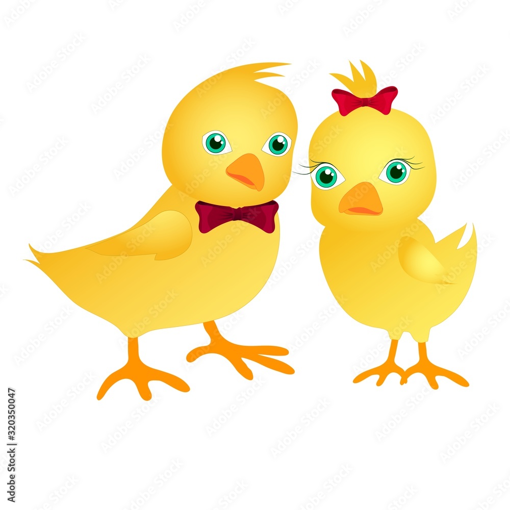 A pair of cute chickens. Chicken boy and chicken girl in cartoon style. 