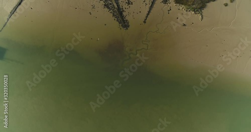 Top down aerial view of low tide above an estuary in the UK with birds in flight passing through frame photo