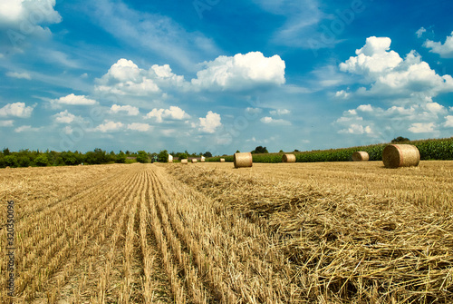 Tractor makes straw