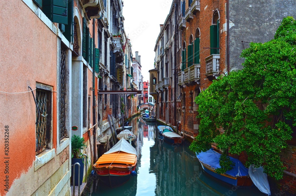 quiet narrow Venetian canal, with a spreading canopy of trees, and boats along the walls of houses