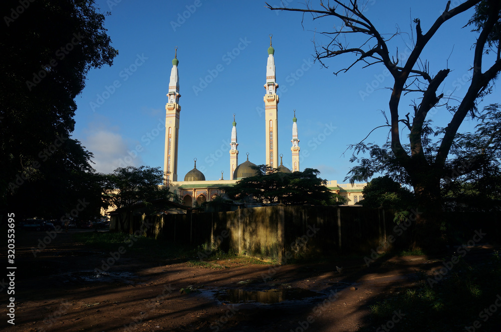 Impressive Conakry Grand Mosque, view from Botanical Garden. One of the largest mosques in Africa was built on a donation primarily from the King of the Saudis. Grande  mosquée  de  Conakry, Guinea.