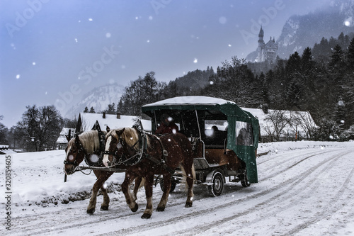 Neuschwanstein horses in winter © Catalina