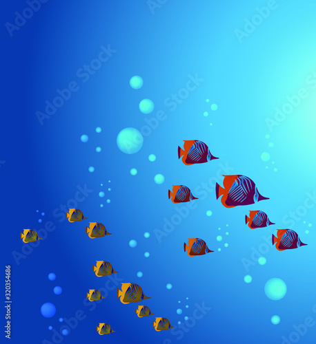Vector image of the seabed or aquarium with fish.