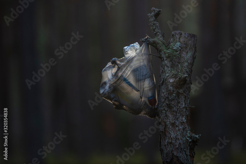 forest with plastic bag trash  © viktorija