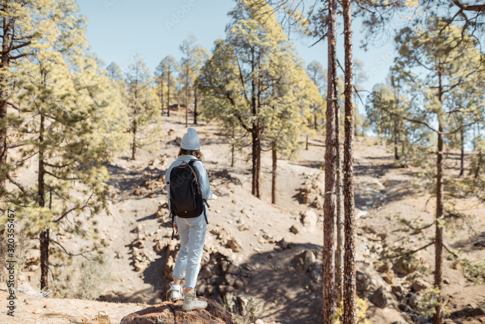 Stylish woman enjoying beautiful landscapes on volcanic rocks in the pine woods, traveling high in the mountains on Tenerife island, Spain Stylish woman enjoying beautiful landscapes on volcanic rocks in the pine woods, traveling high in the mountains on Tenerife island, Spain